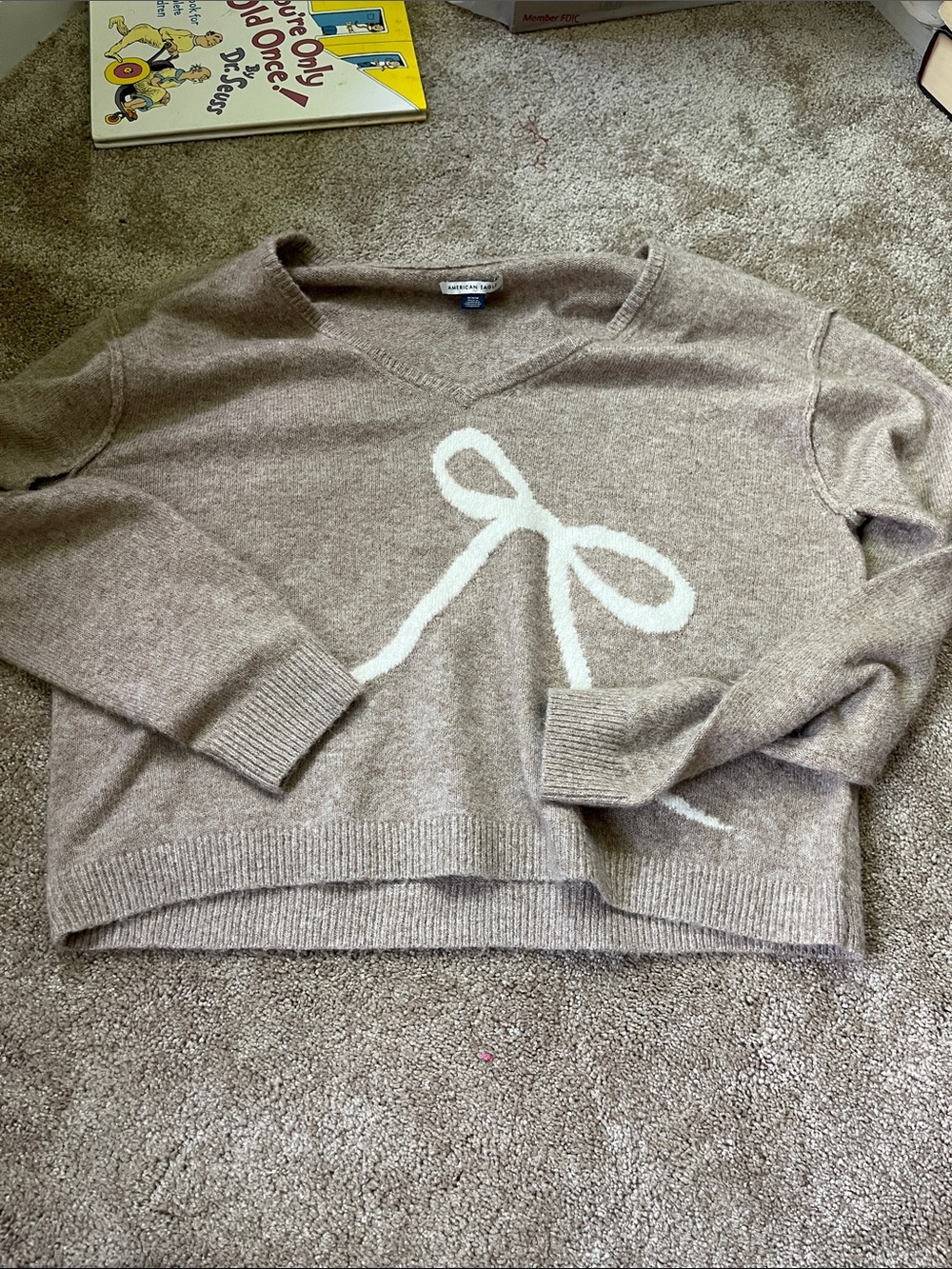 American Eagle Outfitters Taupe V-Neck Sweater with White Bow